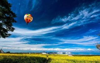 国产热天堂,探索中国电影市场的炽热魅力